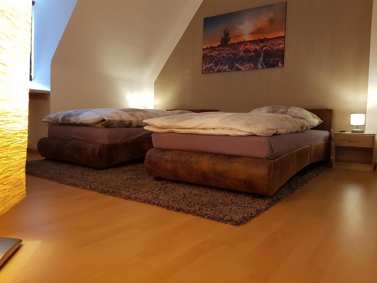 Apartment Am Suedpark Erfurt - Inkl Garten Mit Sitzlounge - Zentrumsnah Екстер'єр фото