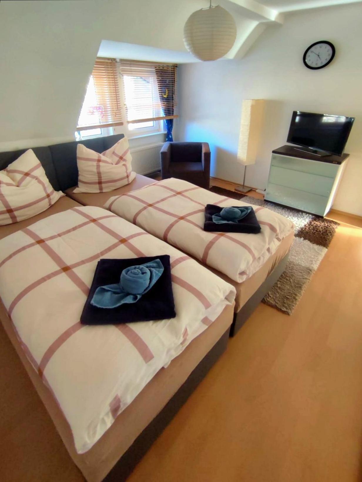 Apartment Am Suedpark Erfurt - Inkl Garten Mit Sitzlounge - Zentrumsnah Екстер'єр фото