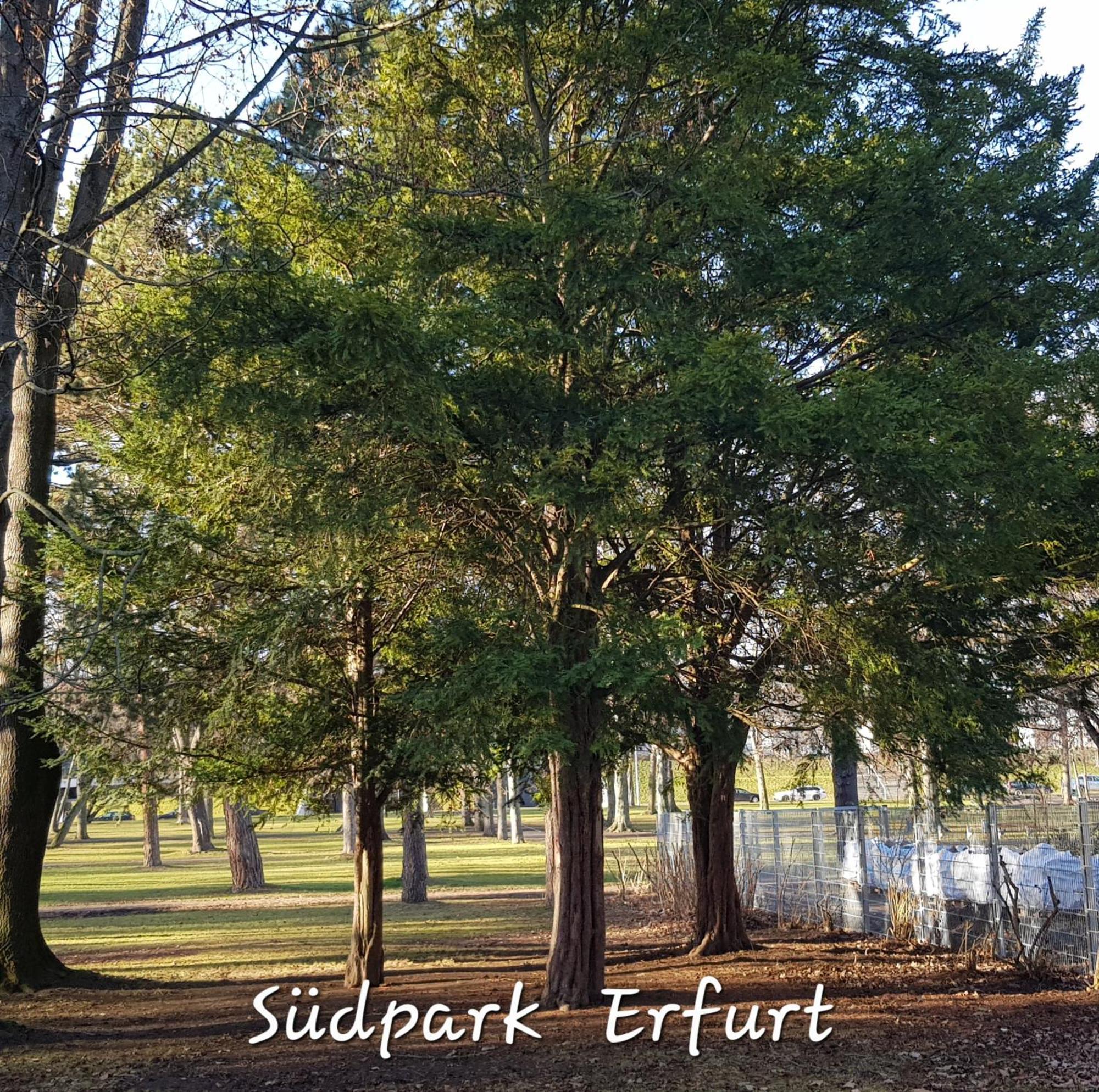 Apartment Am Suedpark Erfurt - Inkl Garten Mit Sitzlounge - Zentrumsnah Екстер'єр фото